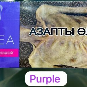 terea-kazakhstan-2