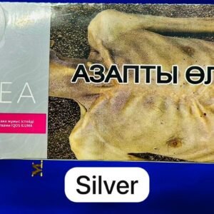 terea-kazakhstan-3