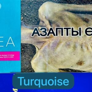 terea-kazakhstan