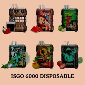 ISGO 6000 PUFFS DISPOSABLE VAPE